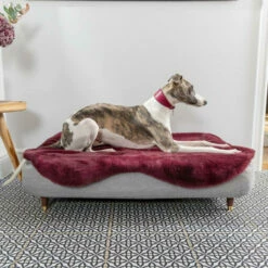 Topology - Memory Foam Dog Bed - Grey - Large 17 Topology - Memory Foam Dog Bed - Grey - Large -Omlet Shop modern luxury dog beds with customisable soft toppers and feet topology omlet