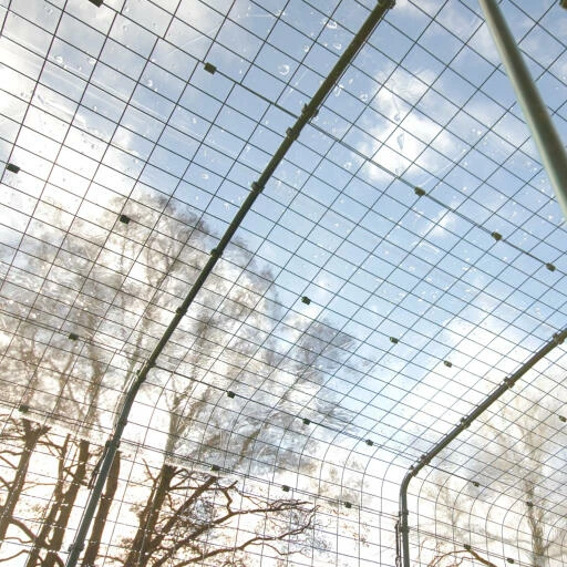 Clear Rabbit Run Cover - 9ft X 12ft 10 Clear Rabbit Run Cover - 9ft X 12ft - Image 8