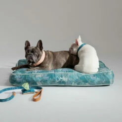 Dog Walk Set Medium - Nature Trail Teal 12 Dog Walk Set Medium - Nature Trail Teal -Omlet Shop omlet cushion bed nature trail with dog lead 2
