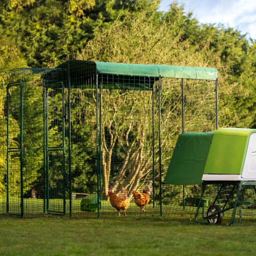 Heavy Duty Chicken Run Cover - 6ft X 9ft 6 Heavy Duty Chicken Run Cover - 6ft X 9ft - Image 4