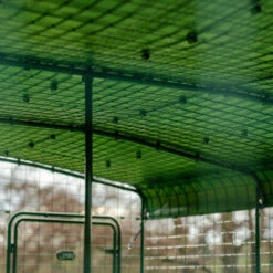 Heavy Duty Guinea Pig Run Cover - 9ft X 9ft 13 Heavy Duty Guinea Pig Run Cover - 9ft X 9ft -Omlet Shop omlet heavy duty walk in run cover 8 5