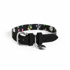 Dog Collar Medium - Midnight Meadow