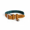 Dog Collar Medium - Nature Trail Teal 2 Dog Collar Medium - Nature Trail Teal -Omlet Shop omlet medium designer dog collar nature trail