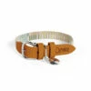 Dog Collar Medium - Pawsteps Natural -Omlet Shop omlet medium designer dog collar pawsteps natural