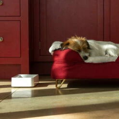 Omlet Dog Bowl White - Large 11 Omlet Dog Bowl White - Large -Omlet Shop omlet memory foam bolster dog bed and dog bowl