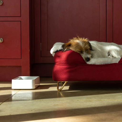 Omlet Dog Bowl White - Large 7 Omlet Dog Bowl White - Large - Image 5