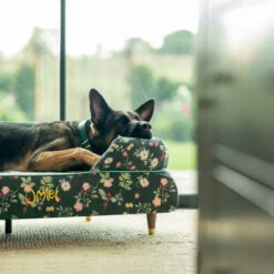 Bolster Dog Bed Cover Only Large - Midnight Meadow 11 Bolster Dog Bed Cover Only Large - Midnight Meadow -Omlet Shop omlet memory foam bolster dog bed dog walk collection midnight meadow large german shephard resting