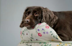 Bolster Dog Bed Cover Only Medium - Morning Meadow -Omlet Shop omlet memory foam bolster dog bed dog walk collection morning meadow bed medium