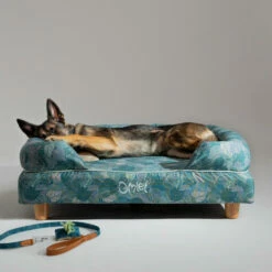 Dog Walk Set Small - Nature Trail Teal -Omlet Shop omlet memory foam bolster dog bed dog walk collection nature trail large dog bed german shepherd 3