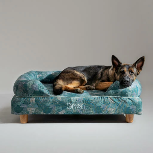 Bolster Dog Bed Cover Only Large - Nature Trail 4 Bolster Dog Bed Cover Only Large - Nature Trail - Image 2