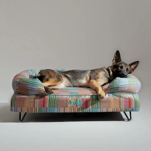 Bolster Dog Bed Cover Only Large - Pawsteps Electric 4 Bolster Dog Bed Cover Only Large - Pawsteps Electric - Image 2