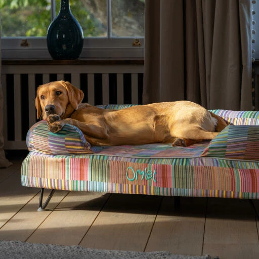Bolster Dog Bed Cover Only Large - Pawsteps Electric 5 Bolster Dog Bed Cover Only Large - Pawsteps Electric - Image 3