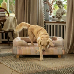 Bolster Dog Bed Cover Only Medium - Pawsteps Natural -Omlet Shop omlet memory foam bolster dog bed dog walk collection pawsteps natural medium resting miniature golden retriever