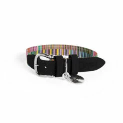 Dog Collar Small - Pawsteps Electric