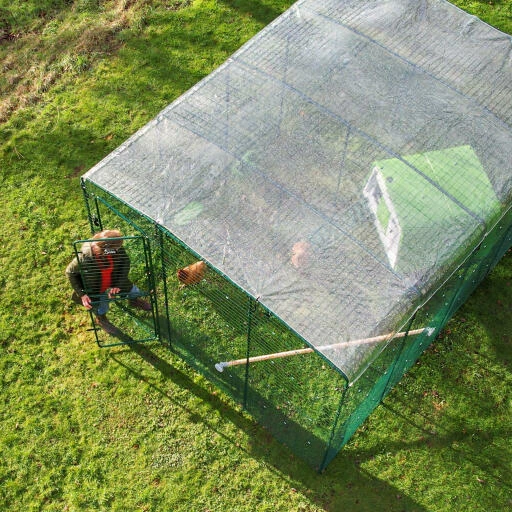 Clear Chicken Run Cover - 6ft X 9ft 9 Clear Chicken Run Cover - 6ft X 9ft - Image 7