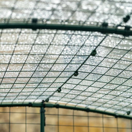 Clear Rabbit Run Cover - 6ft X 9ft 6 Clear Rabbit Run Cover - 6ft X 9ft - Image 4