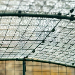 Clear Chicken Run Cover - 9ft X 9ft -Omlet Shop omlet walk in run cover clear 4 5