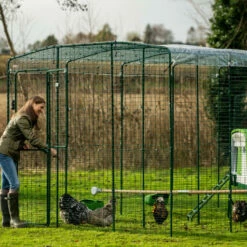 Clear Chicken Run Cover - 9ft X 12ft 13 Clear Chicken Run Cover - 9ft X 12ft -Omlet Shop omlet walk in run cover clear 6 1