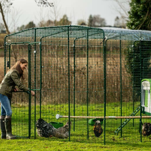 Clear Chicken Run Cover - 9ft X 12ft 5 Clear Chicken Run Cover - 9ft X 12ft - Image 3