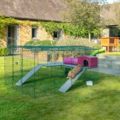 Zippi Rabbit Shelter With Play Tunnel Twin Pack - Green And Purple 13 Zippi Rabbit Shelter With Play Tunnel Twin Pack - Green And Purple -Omlet Shop omlet zippi run in the garden with pink zippi shelter and tunnel system 1