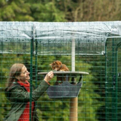 Clear Catio Cat Run Cover - 6ft X 9ft 18 Clear Catio Cat Run Cover - 6ft X 9ft -Omlet Shop owner interacting with their cat in walk in run with clear weather protection cover by omlet