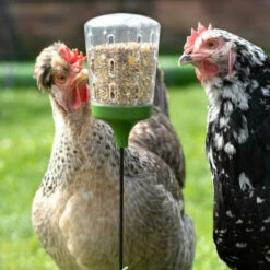 Poppy Peck Toy 13 Poppy Peck Toy -Omlet Shop poppy chicken peck toy omlet