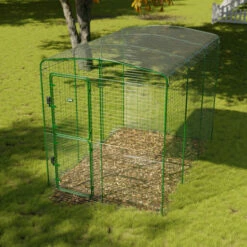 Clear Guinea Pig Run Cover - 6ft X 9ft