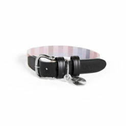 Dog Collar Small - Prism Kaleidoscope