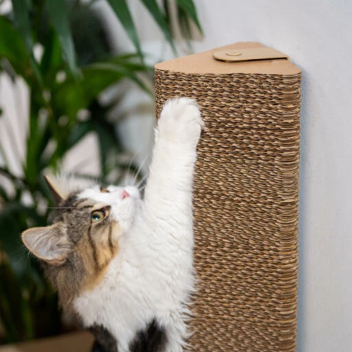 Stak Cat Scratching Post With Refill Pack - Wall Mounted 13 Stak Cat Scratching Post With Refill Pack - Wall Mounted - Image 11