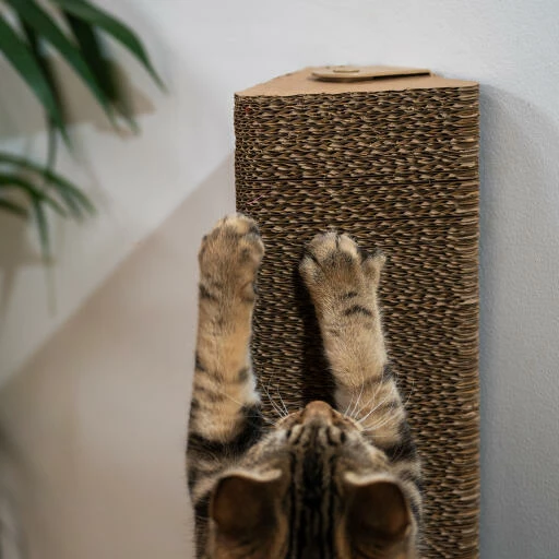 Refillable Cardboard Cat Scratching Post - Wall Mounted 14 Refillable Cardboard Cat Scratching Post - Wall Mounted - Image 12