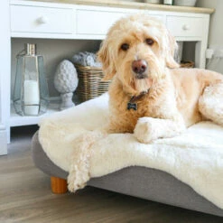 Topology - Sheepskin Topper - White - Medium -Omlet Shop topology dog bed with sheepskin topper and wooden feet by omlet 2