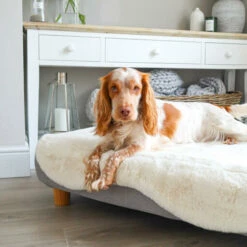 Topology - Sheepskin Topper - White - Small -Omlet Shop topology dog bed with sheepskin topper and wooden feet omlet 1