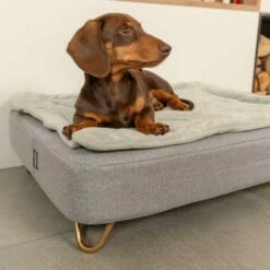 Topology - Quilted Topper - Grey - Medium 16 Topology - Quilted Topper - Grey - Medium -Omlet Shop topology luxury memory foam dog bed with quilted topper and feet 2