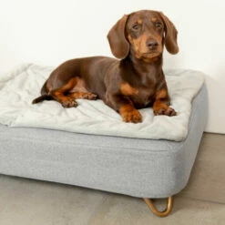 Topology - Quilted Topper - Grey - Large 16 Topology - Quilted Topper - Grey - Large -Omlet Shop topology luxury memory foam dog bed with quilted topper and feet omlet