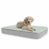 Topology Puppy Bed With Free Extra Topper - Large 1 Topology Puppy Bed With Free Extra Topper - Large -Omlet Shop topology puppy bed large