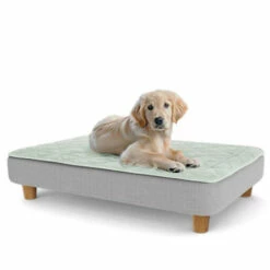 Topology Puppy Bed With Free Extra Topper - Round Wooden Feet - Large