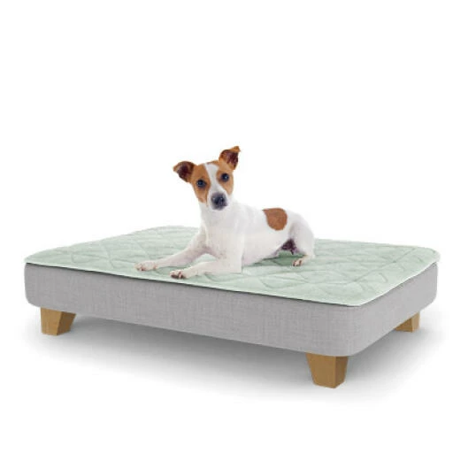 Topology Puppy Bed With Free Extra Topper - Square Wooden Feet - Medium 3 Topology Puppy Bed With Free Extra Topper - Square Wooden Feet - Medium