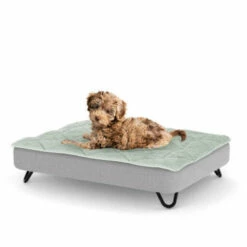 Topology Puppy Bed With Free Extra Topper - Black Metal Hairpin Feet - Small