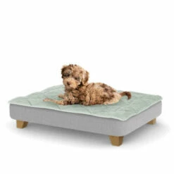 Topology Puppy Bed With Free Extra Topper - Square Wooden Feet - Small