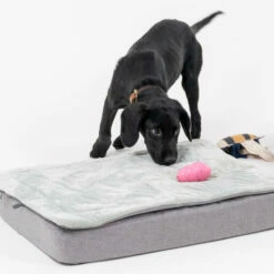 Topology Puppy Bed With Free Extra Topper - Square Wooden Feet - Small -Omlet Shop topology puppy bed with quilted topper 33 1