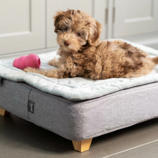 Topology Puppy Bed With Free Extra Topper - Large 6 Topology Puppy Bed With Free Extra Topper - Large - Image 4