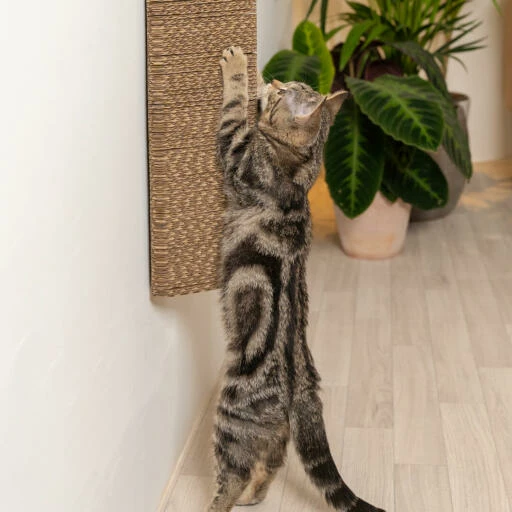 Stak Cat Scratching Post With Refill Pack - Wall Mounted 7 Stak Cat Scratching Post With Refill Pack - Wall Mounted - Image 5