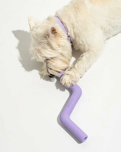 Wild One Bolt Bite Dog Toy - Lilac 4 Wild One Bolt Bite Dog Toy - Lilac - Image 2