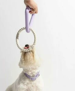 Wild One Triangle Tug Dog Toy - Lilac 8 Wild One Triangle Tug Dog Toy - Lilac -Omlet Shop wild one lavender triangle dog toy
