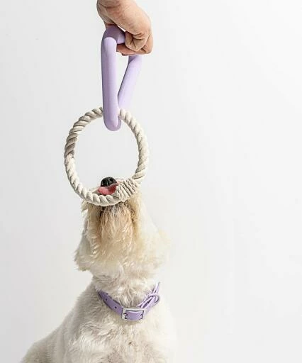 Wild One Triangle Tug Dog Toy - Lilac 5 Wild One Triangle Tug Dog Toy - Lilac - Image 3