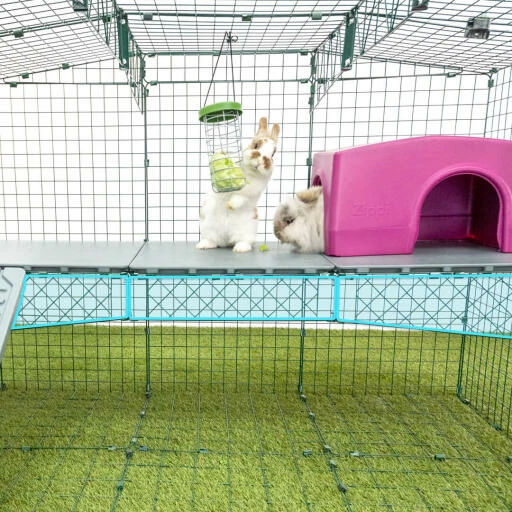 Zippi Rabbit Shelter - Purple 7 Zippi Rabbit Shelter - Purple - Image 5