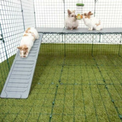 Zippi Rabbit Platforms - 3 Panels With Green Shelter And Play Tunnel -Omlet Shop zippi rabbit platform are an easy to clean fun addition to your bunnie run