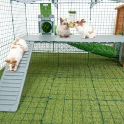 Zippi Rabbit Platforms - 3 Panels With Green Shelter And Play Tunnel -Omlet Shop zippi rabbit platform are an easy toclean fun addition to your bunnie run omlet