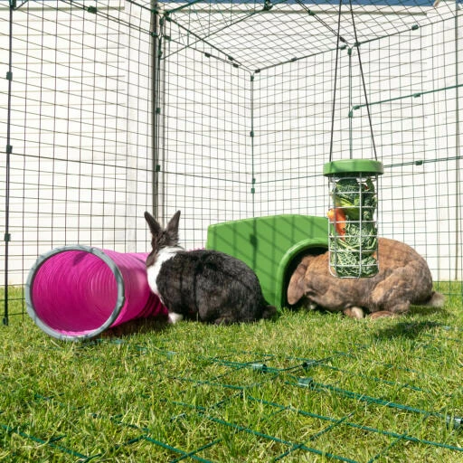 Zippi Rabbit Shelter - Green 8 Zippi Rabbit Shelter - Green - Image 6