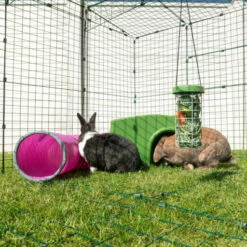 Zippi Rabbit Shelter - Purple 20 Zippi Rabbit Shelter - Purple -Omlet Shop zippi rabit shelter green in rabbit run